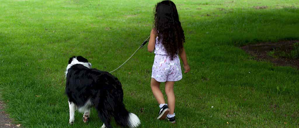 дрессировка собак в Алматы